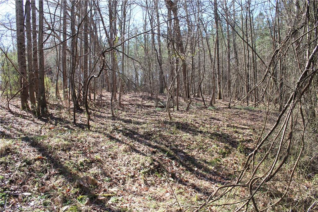 Xx Gentry Farm Road King, NC 27021 - Photo 6 of 10 Gallery Image 6