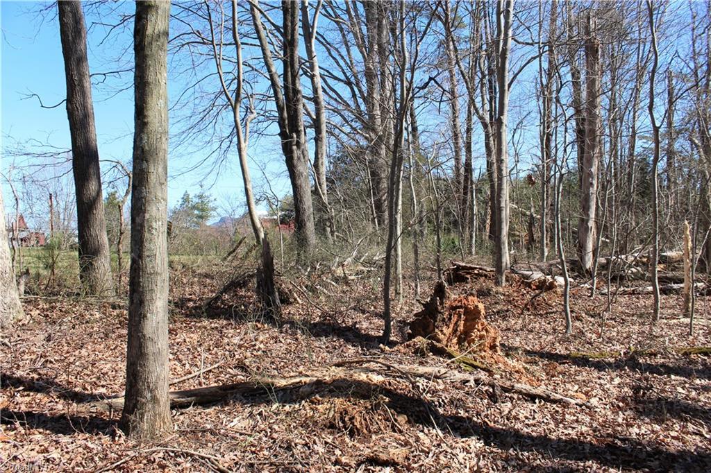 Xx Gentry Farm Road King, NC 27021 - Photo 10 of 10 Gallery Image 10