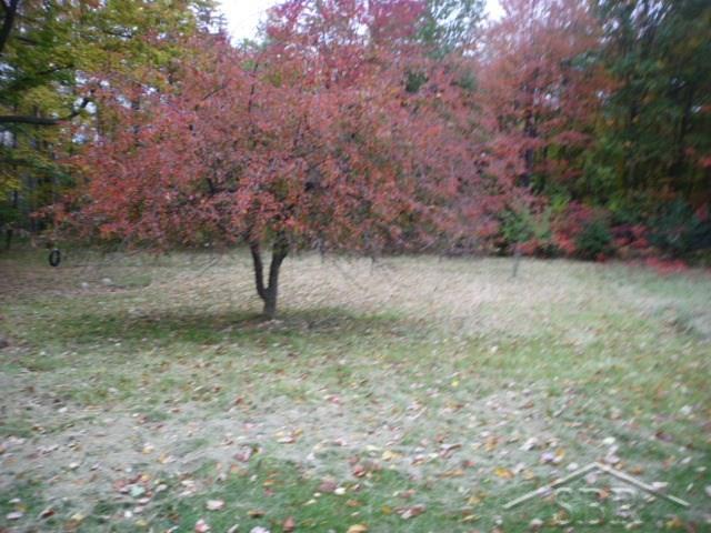 1160 Sanilac Road Caro, MI 48723 - Photo 25 of 26