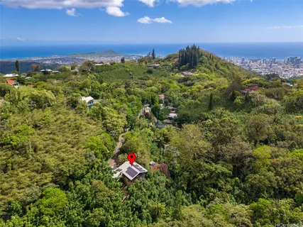 an aerial view of a houses with a lush green forest
