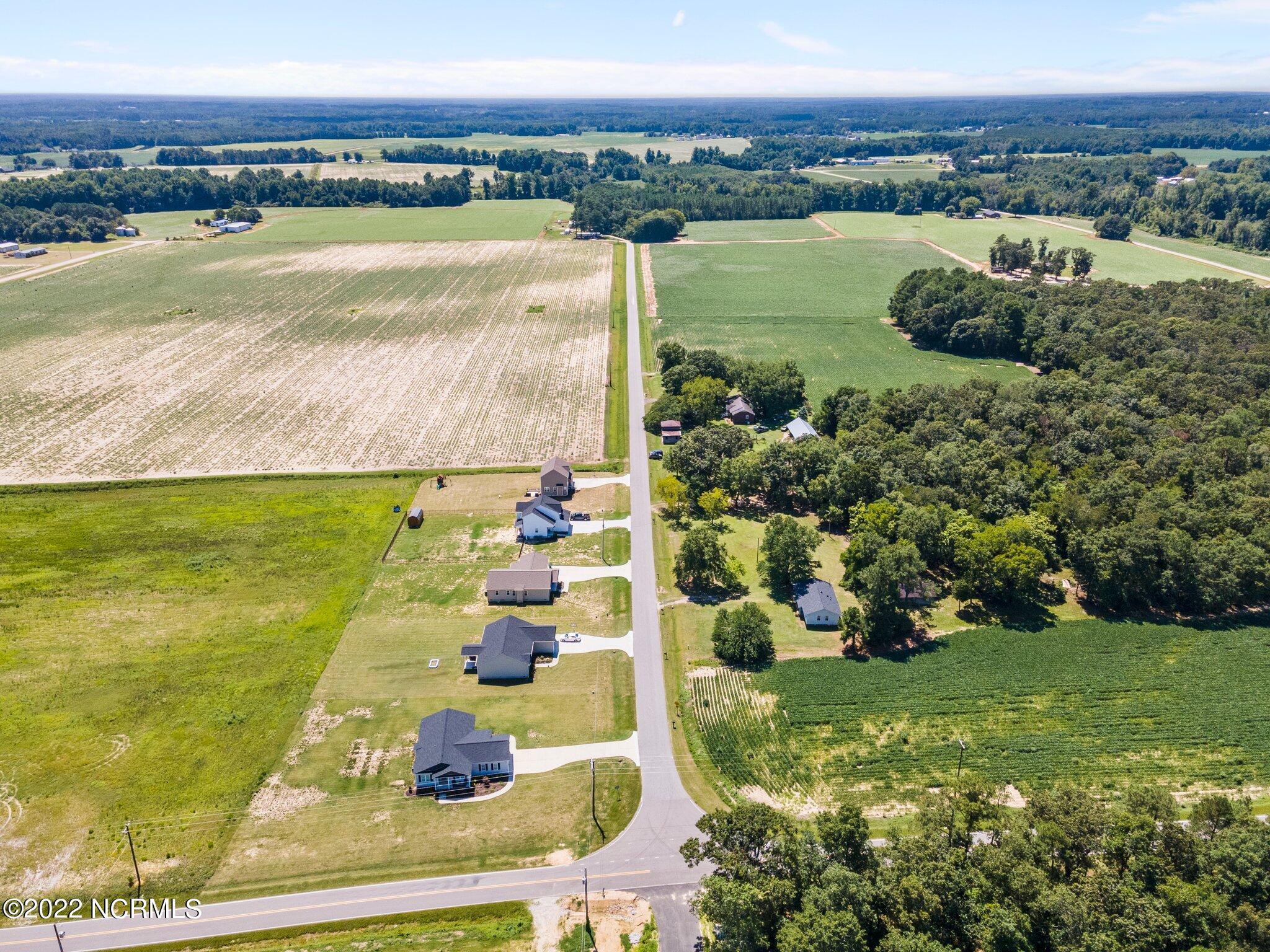 9701 Juniper Road Bailey, NC 27807 - Photo 41 of 46 13-web-or-mls-DJI_0009
