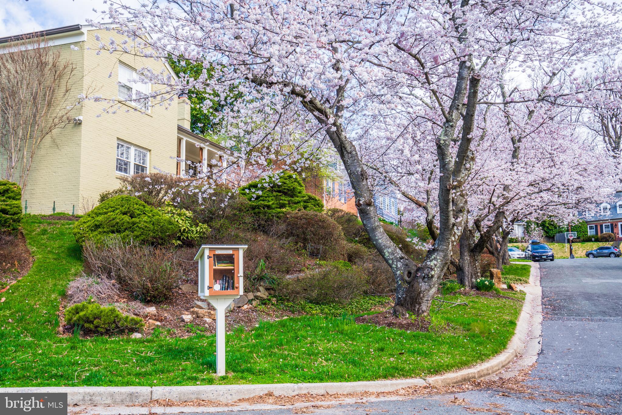 5608 Durbin Road Bethesda, MD 20814 - Photo 54 of 60 Gallery Image 54
