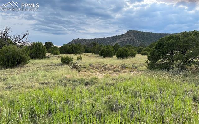 Lot #93 Rancho Verde Road Trinidad, CO 81082 - Photo 2 of 19 Gallery Image 2