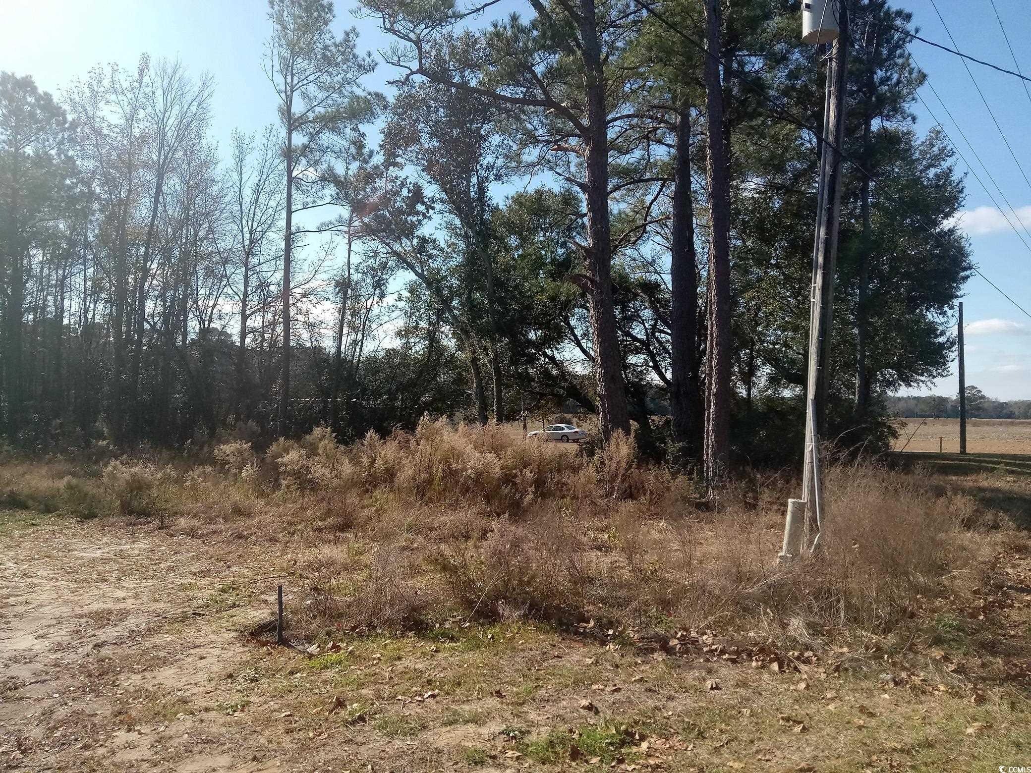 3800 Kickapoo Drive Green Sea, SC 29545 - Photo 8 of 10
