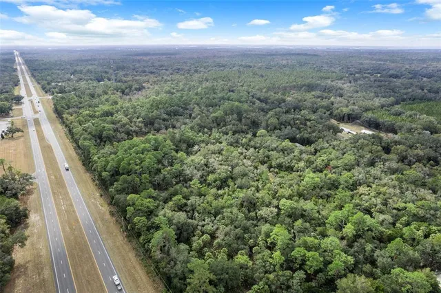 an aerial view of houses covered in trees