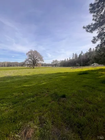 a view of an ocean from a yard