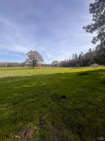 a view of an ocean from a yard
