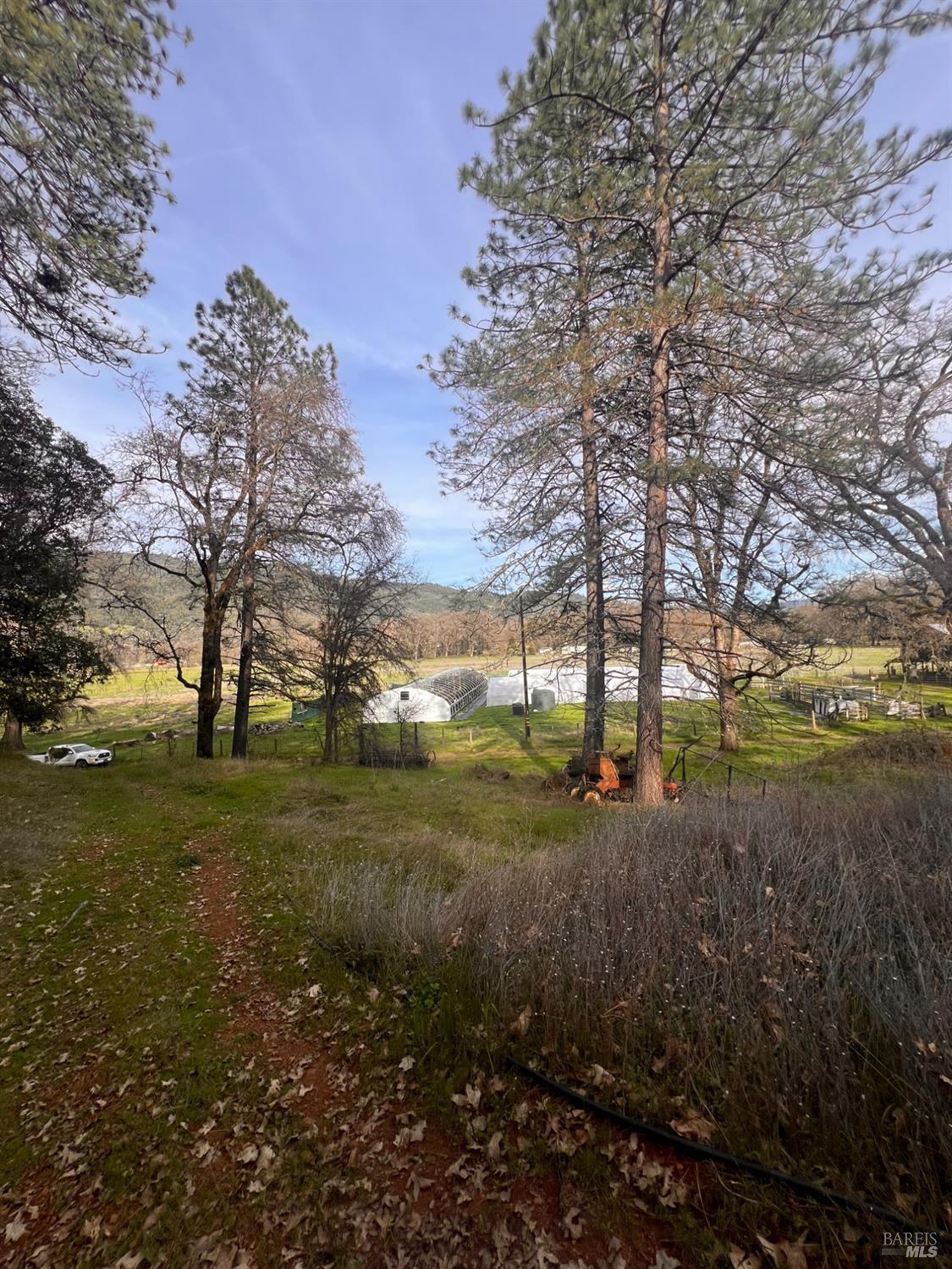 78951 Zenia Road Covelo, CA 95428 - Photo 28 of 37 a view of a field with trees