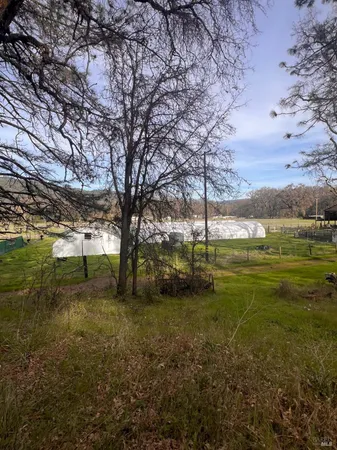 a view of a field with an trees