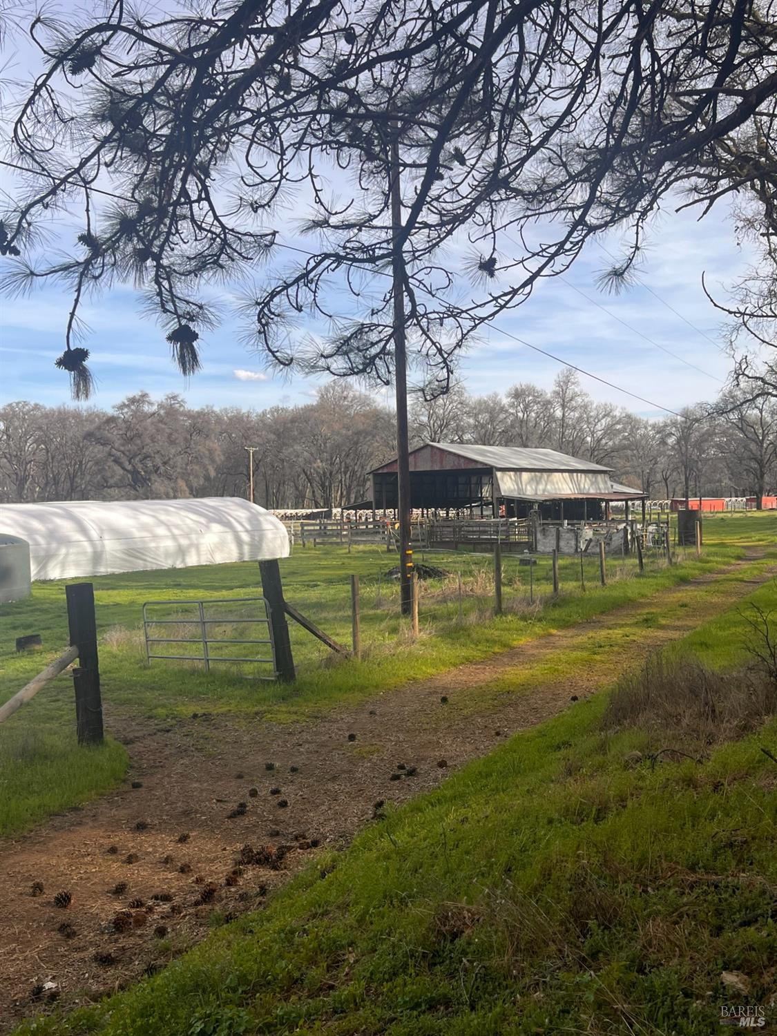 78951 Zenia Road Covelo, CA 95428 - Photo 31 of 37 a view of a park