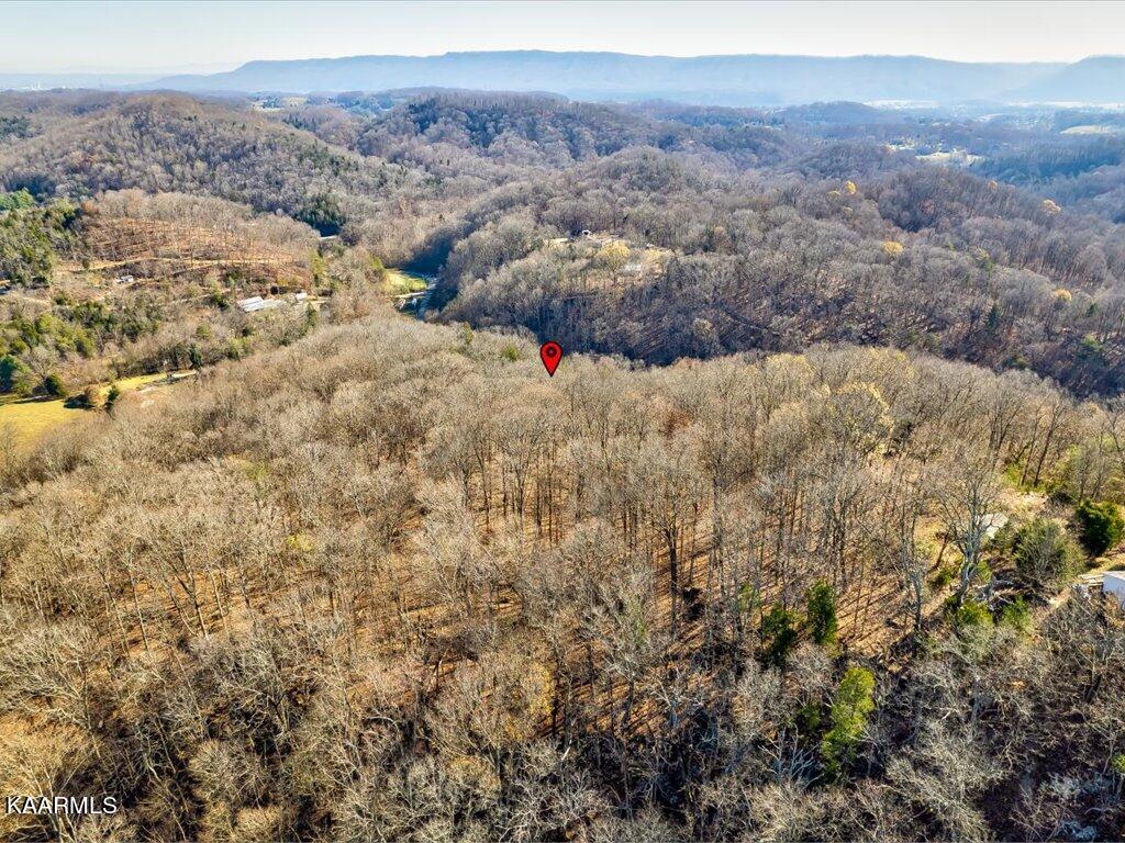 Reesor Hollow Road Church Hill, TN 37642 - Photo 16 of 35 Reesor Hollow Rd - 10