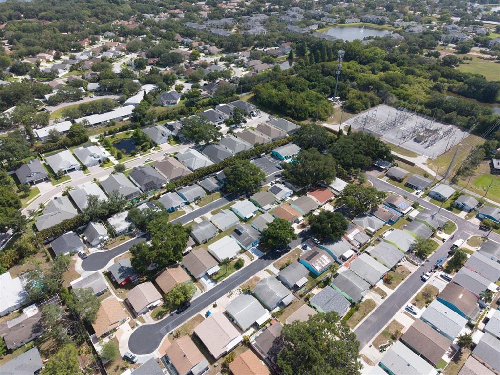 1009 Crane Court Dunedin, FL 34698 - Photo 58 of 63