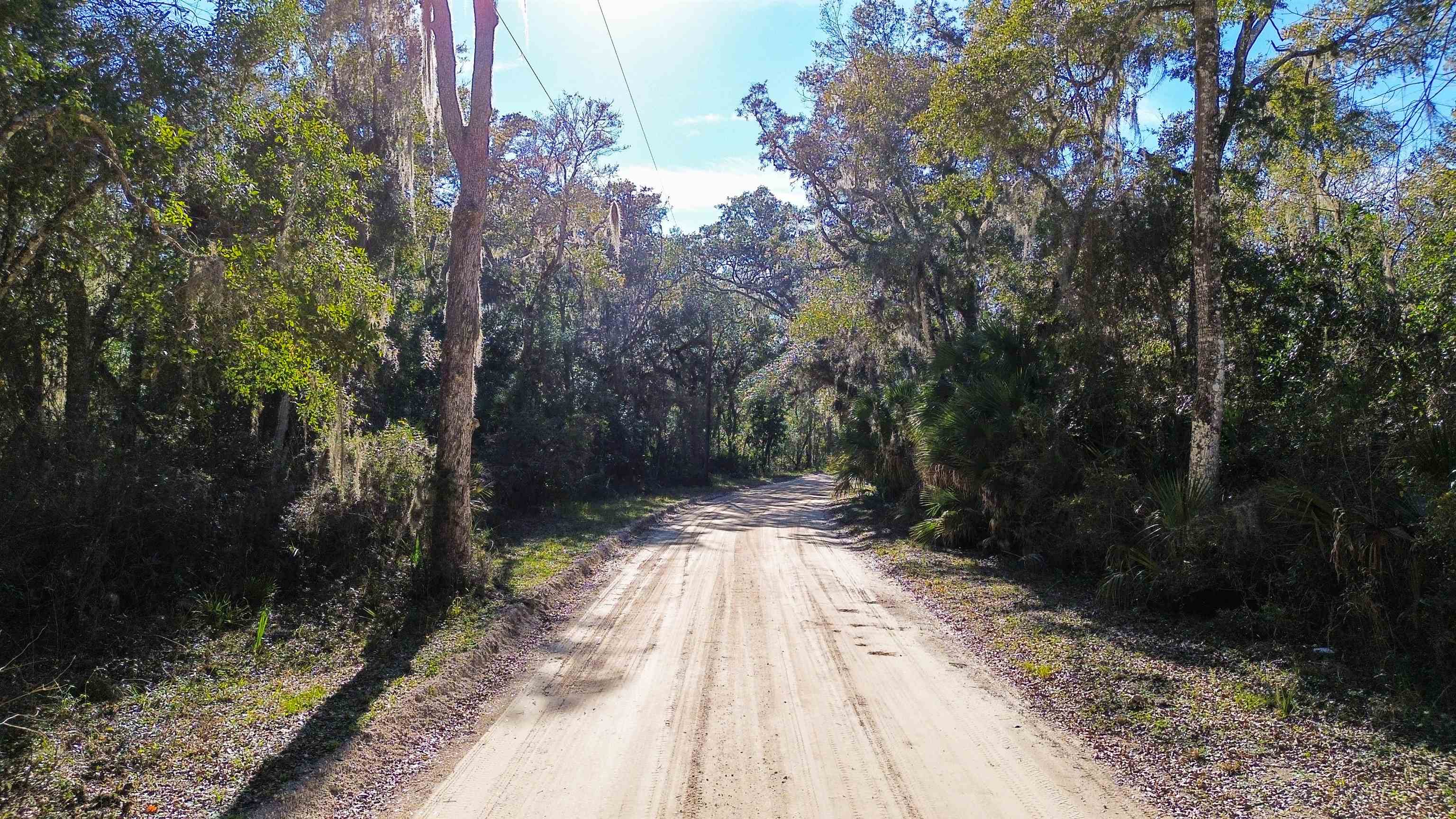 Pine Island Rd Street St. Augustine, FL 32095 - Photo 13 of 20 Gallery Image 13