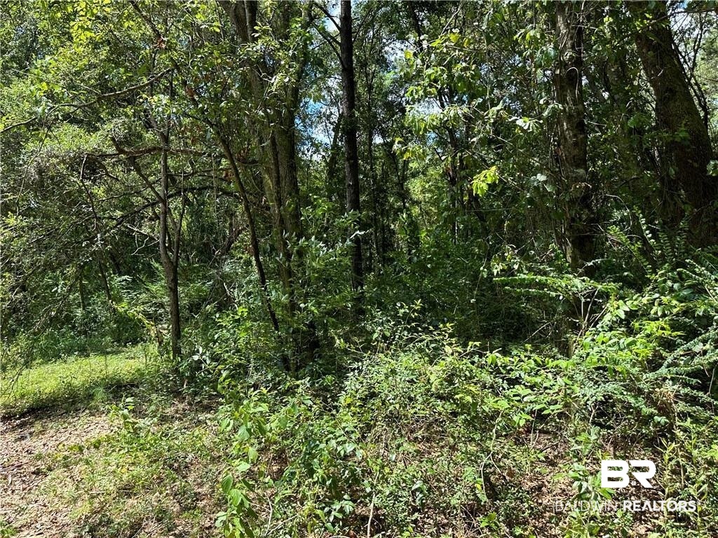 5873 Lundy Road Theodore, AL 36582 - Photo 3 of 4