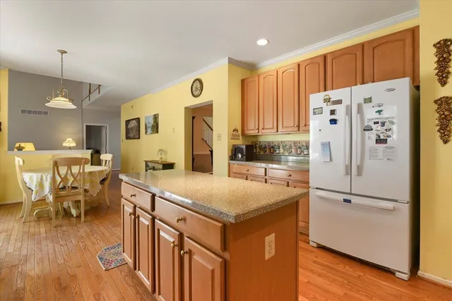 a view of a tree in a yard