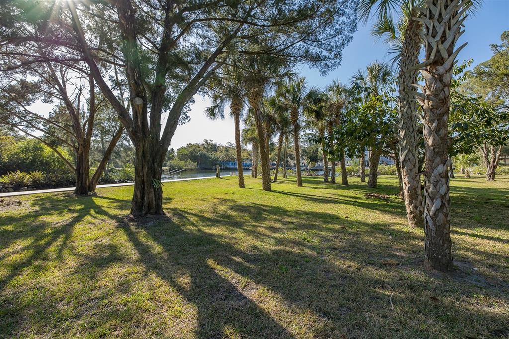 14616 Blessing Lane Hudson, FL 34667 - Photo 3 of 29 a view of swimming pool with trees