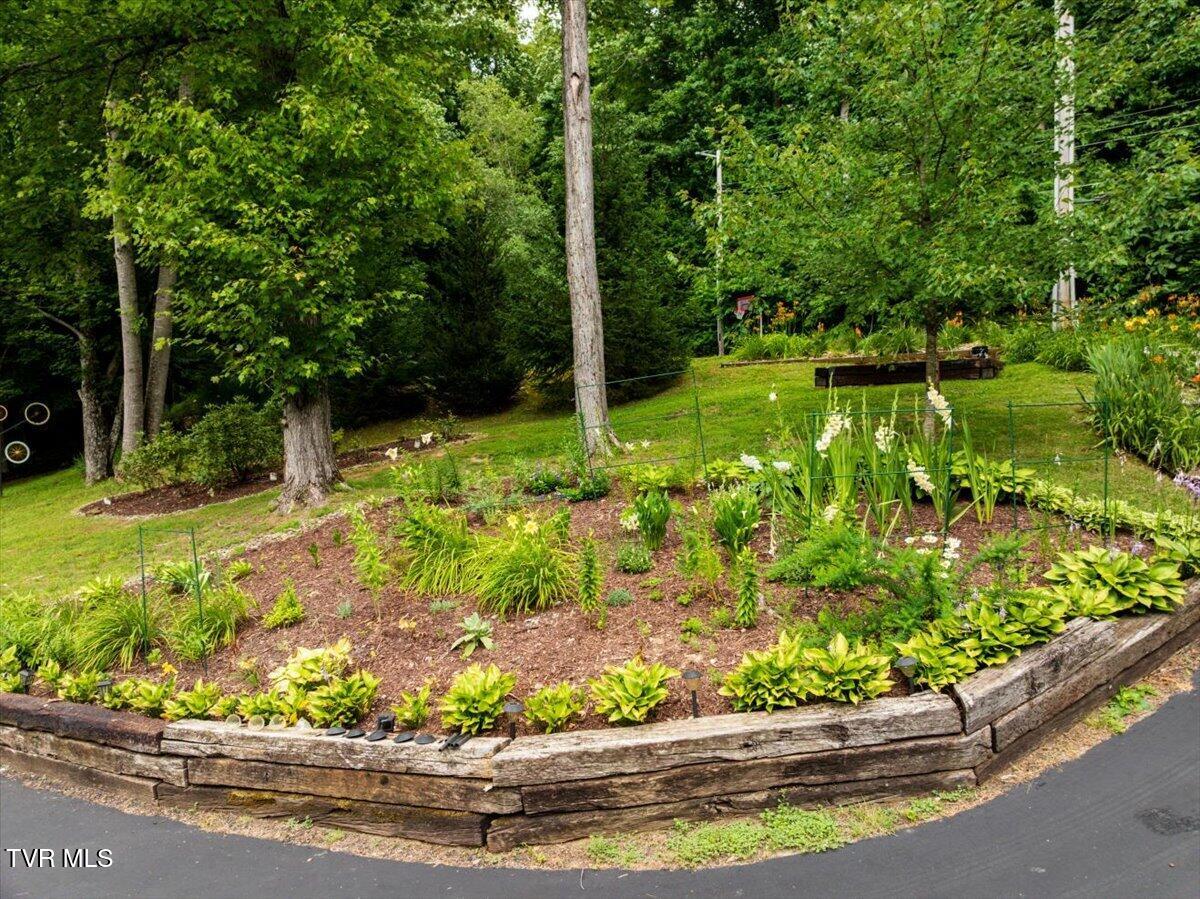 2031 Ridgefield Road Johnson City, TN 37601 - Photo 150 of 162 143-WBP-Ridgefield-Rd-144