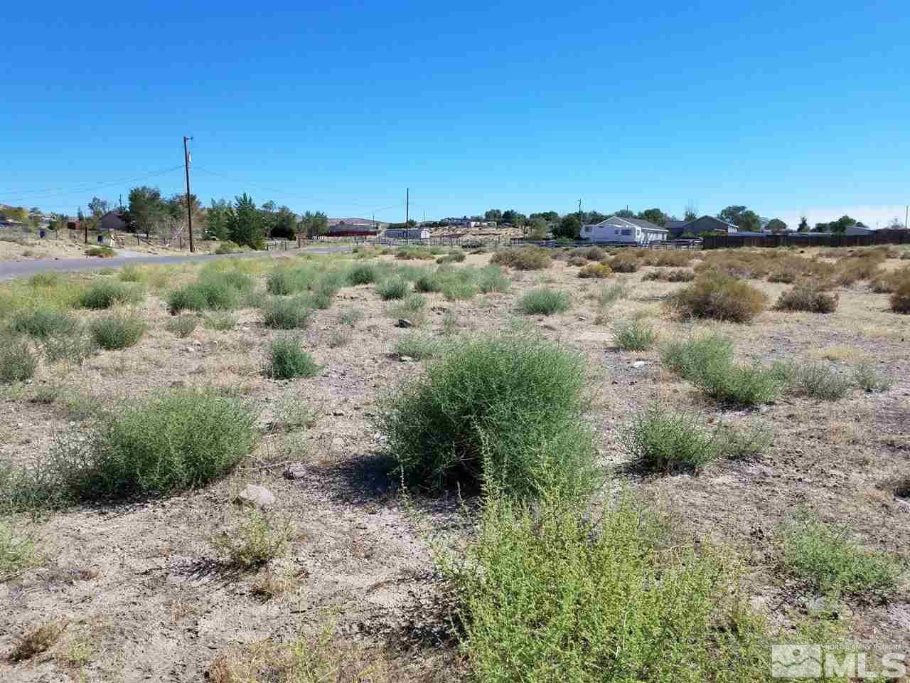 369 Rowan Gulch Road Dayton, NV 89403 - Photo 3 of 3 Photo 3