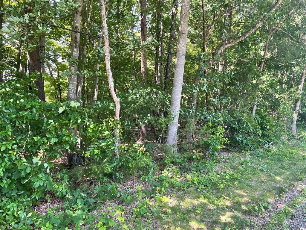 Parcel C Iron Works Road Reidsville, NC 27320 - Photo 4 of 5