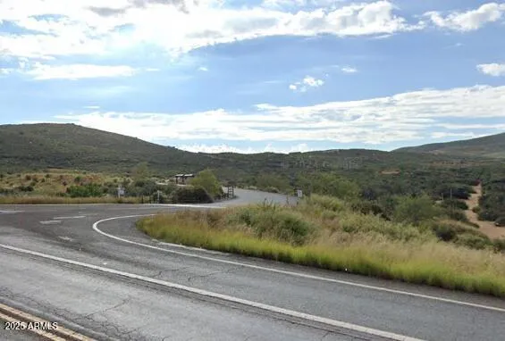 a view of a wooden floor and with potted plants