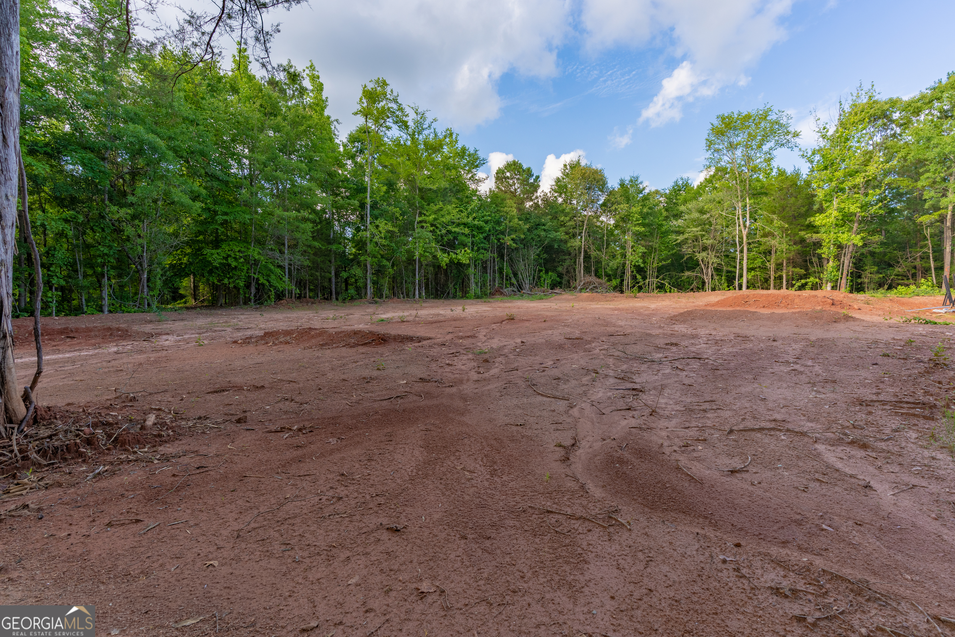 54 Davis Carter Road Monticello, GA 31064 - Photo 19 of 60