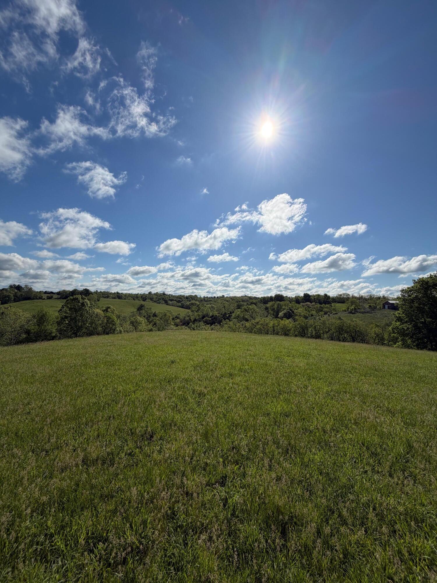 32.28-ac Chipman Ridge Road Williamstown, KY 41097 - Photo 6 of 13