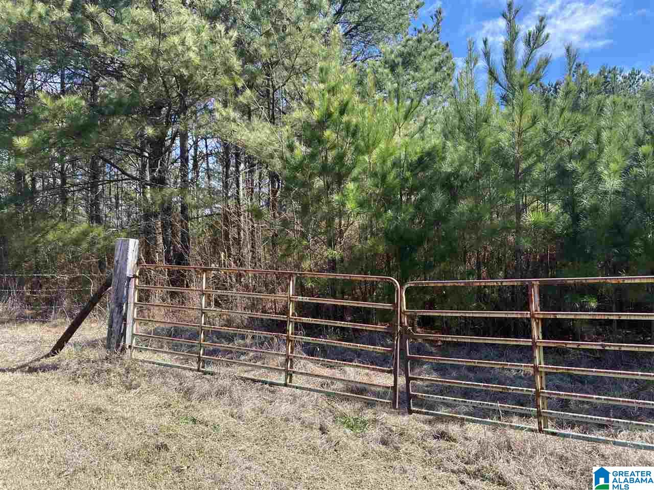 1560 Oren Miller Road, Unit 1 Warrior, AL 35180 - Photo 3 of 19
