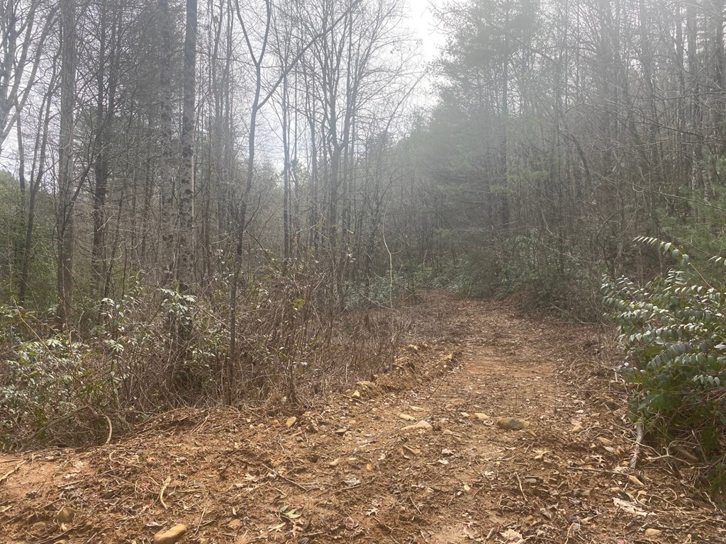 0 Flea Mountain Road Murphy, NC 28906 - Photo 7 of 54
