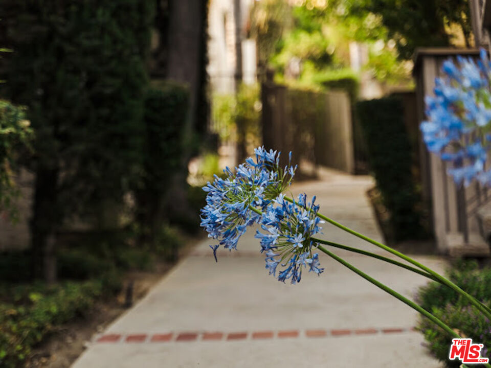 15511 Sherman Way, Unit 17 Van Nuys, CA 91406 - Photo 43 of 47 a view of a vase of flowers sitting on a floor