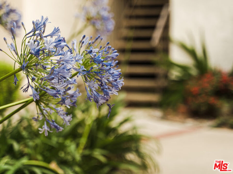 15511 Sherman Way, Unit 17 Van Nuys, CA 91406 - Photo 47 of 47 a view of a flower