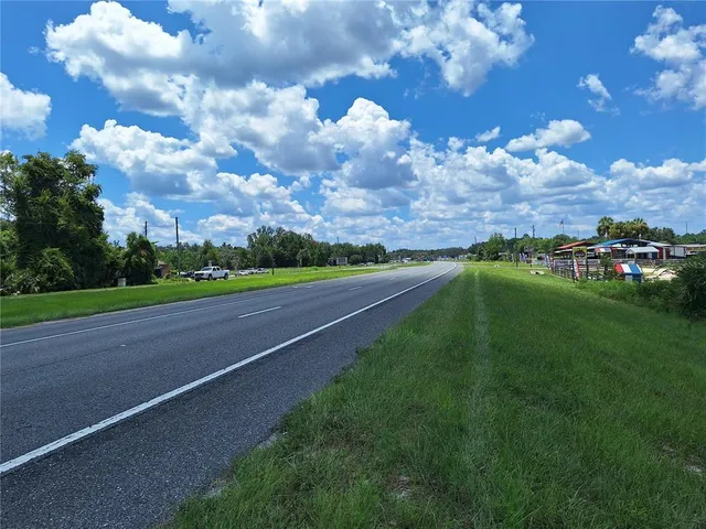 a view of a bunch of trees