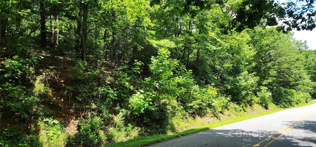 $19,000 | Lot 35 White Oak Mountain Road, Columbus, NC 28722