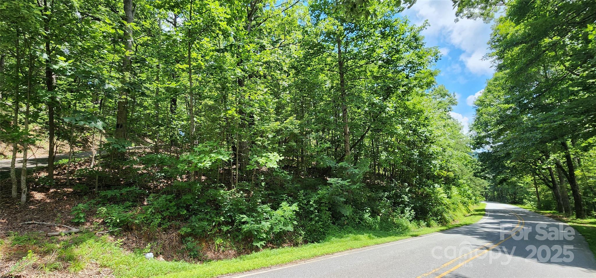 Lot 35 White Oak Mountain Road Columbus, NC 28722 - Photo 3 of 16