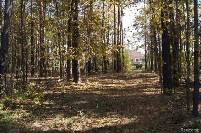 1609 Farnsworth Road Lapeer, MI 48446 - Photo 13 of 39 DSC06347.JPG