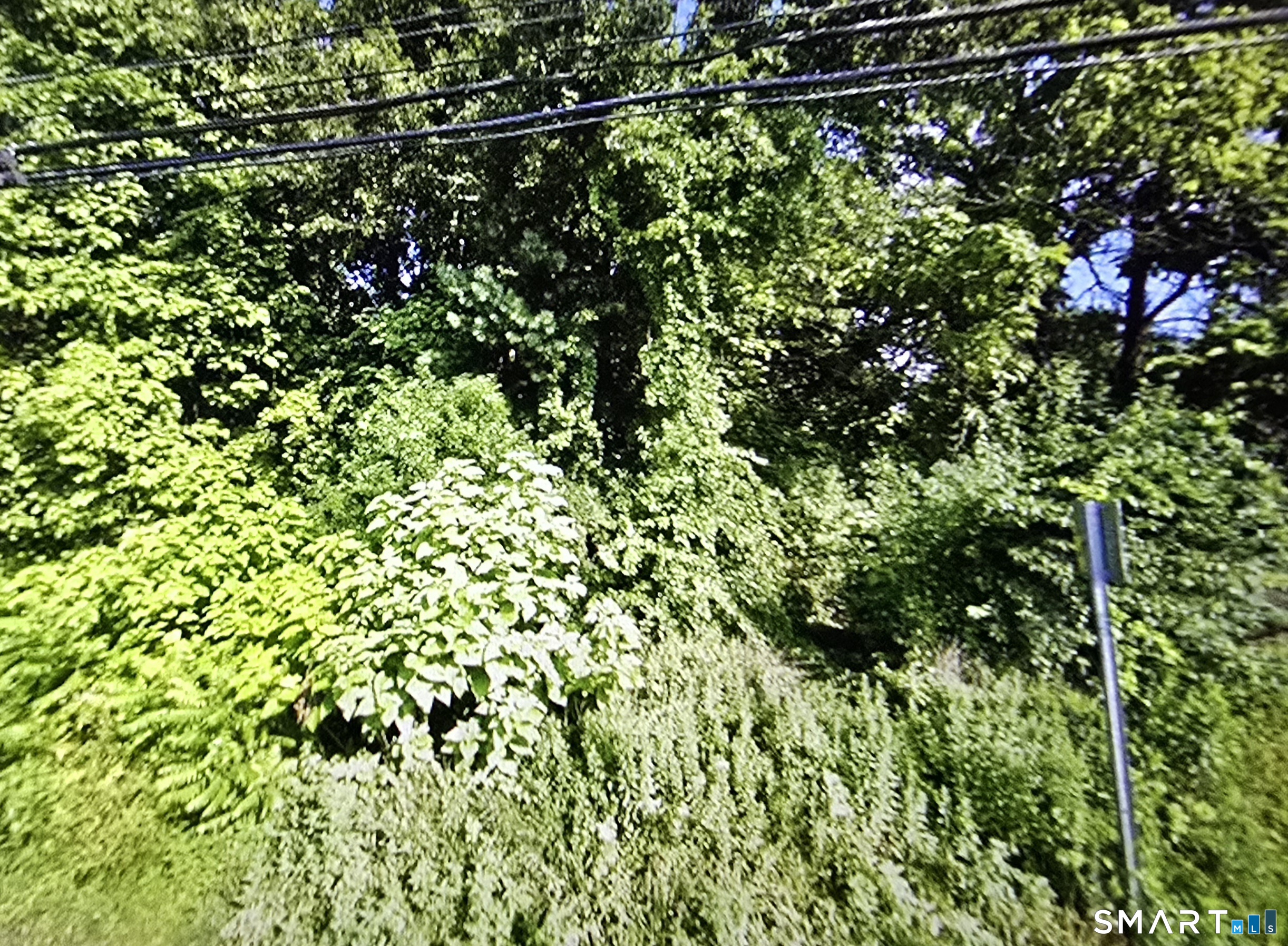 8 Old Windsor Road Bloomfield, CT 06002 - Photo 2 of 6 a view of a plant with a plant