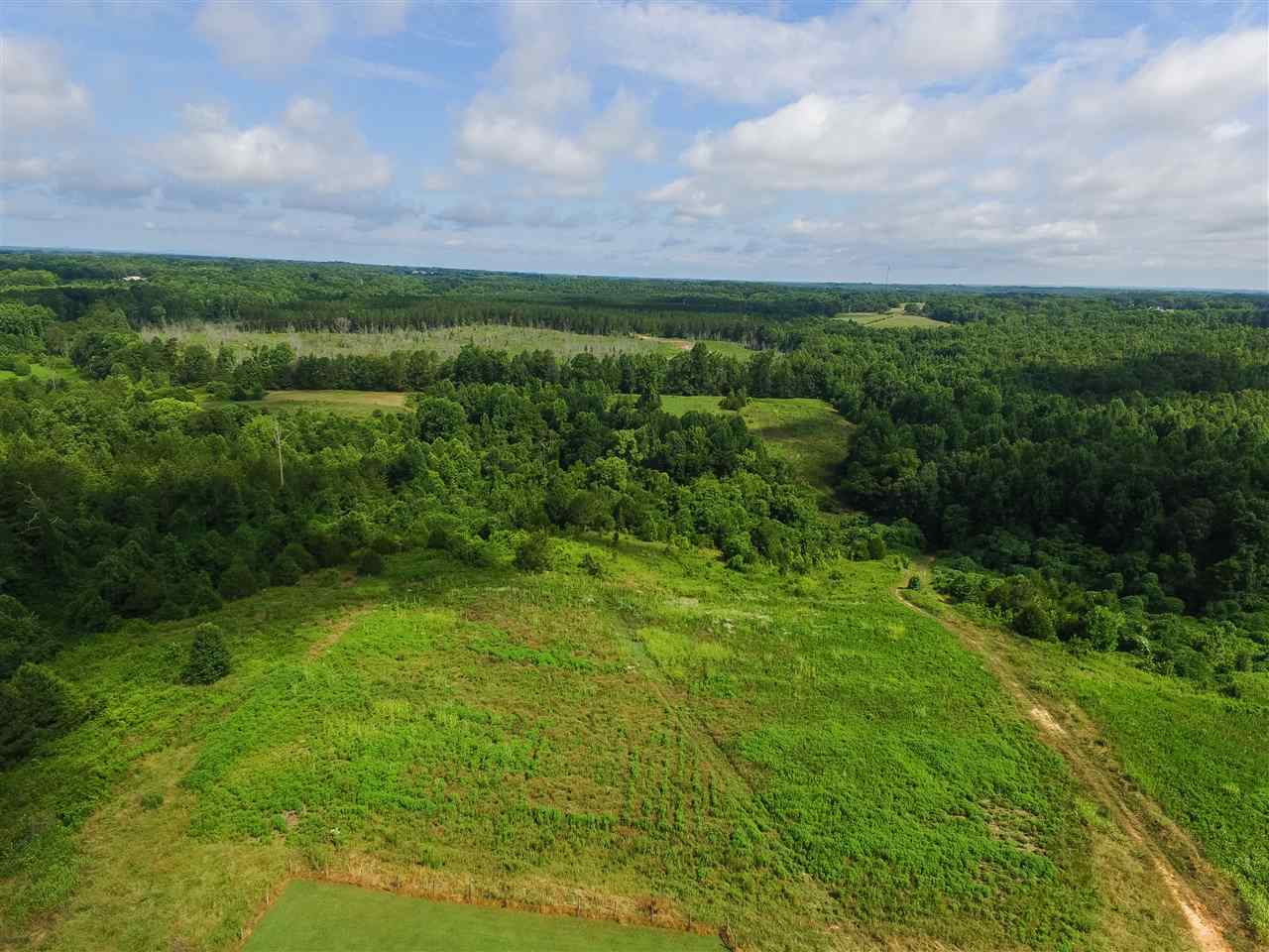 0 Miller Road Woodruff, SC 29388 - Photo 2 of 3 Gallery Image 2