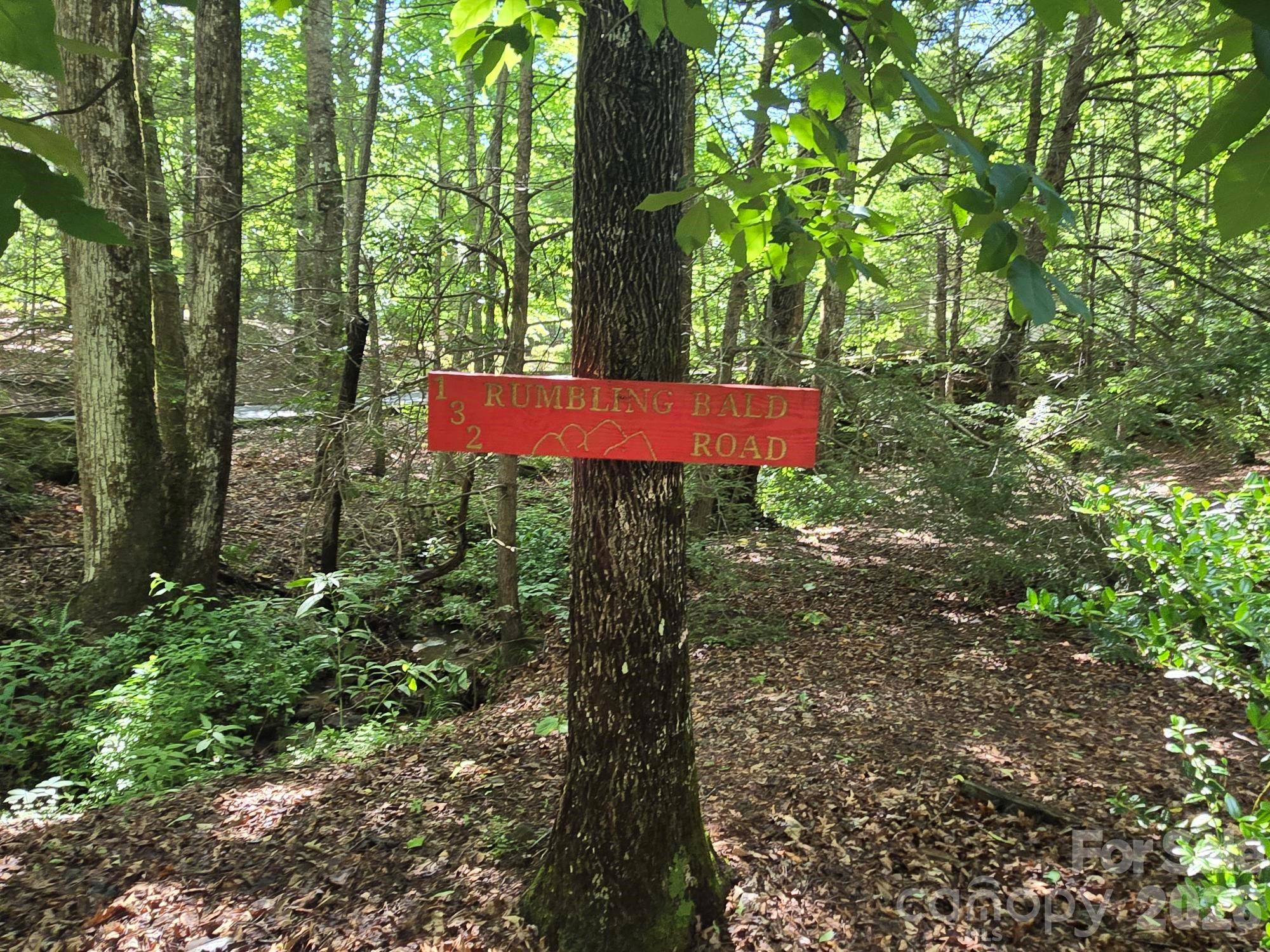 132 Rumbling Bald Road Lake Lure, NC 28746 - Photo 22 of 42