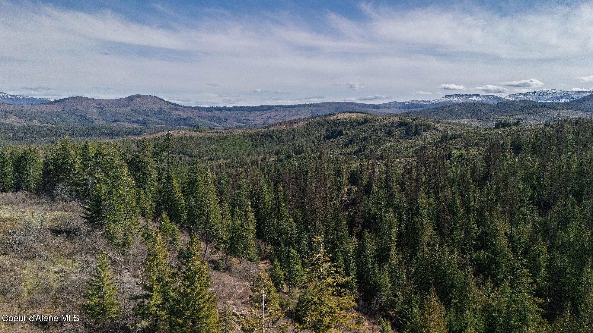 5500 Gold Ridge Road St. Maries, ID 83861 - Photo 29 of 33 59_GoldRidgeRd (1)