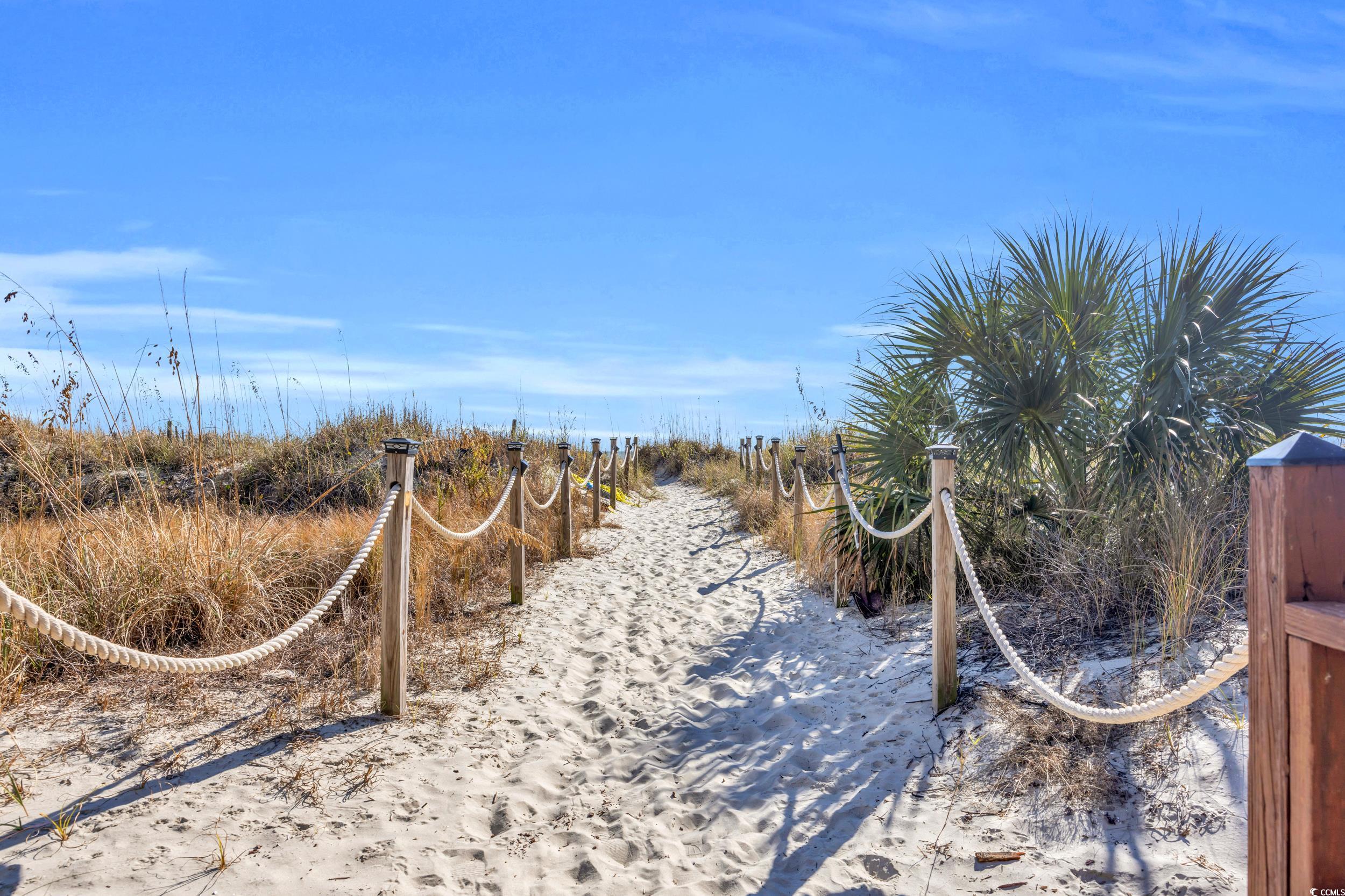 2405 South Ocean Boulevard, Unit 306 North Myrtle Beach, SC 29582 - Photo 25 of 37 View of yard