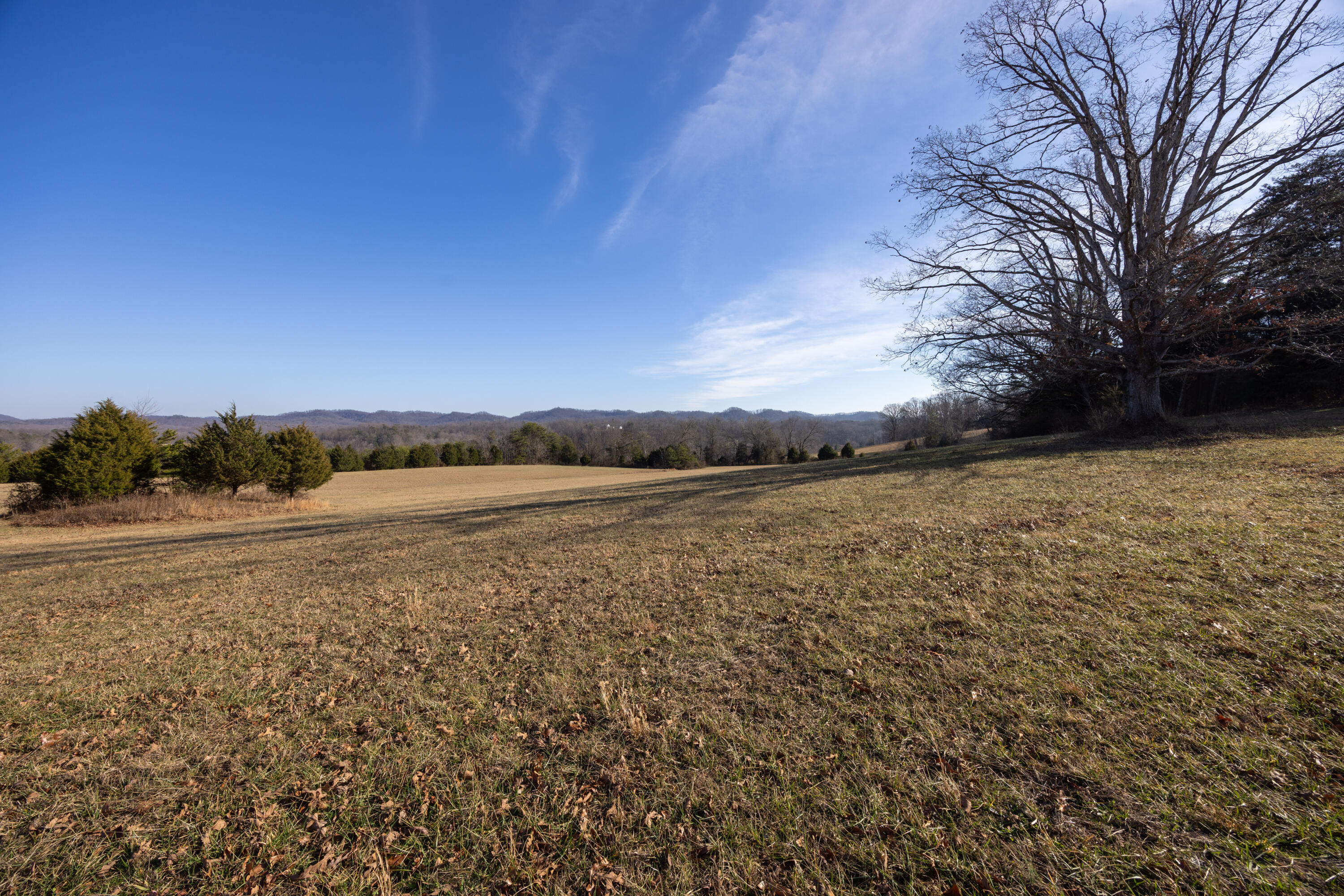 9978 Spencer Road Mount Sterling, KY 40353 - Photo 9 of 50 Appalachian Media - Brad Smith-35