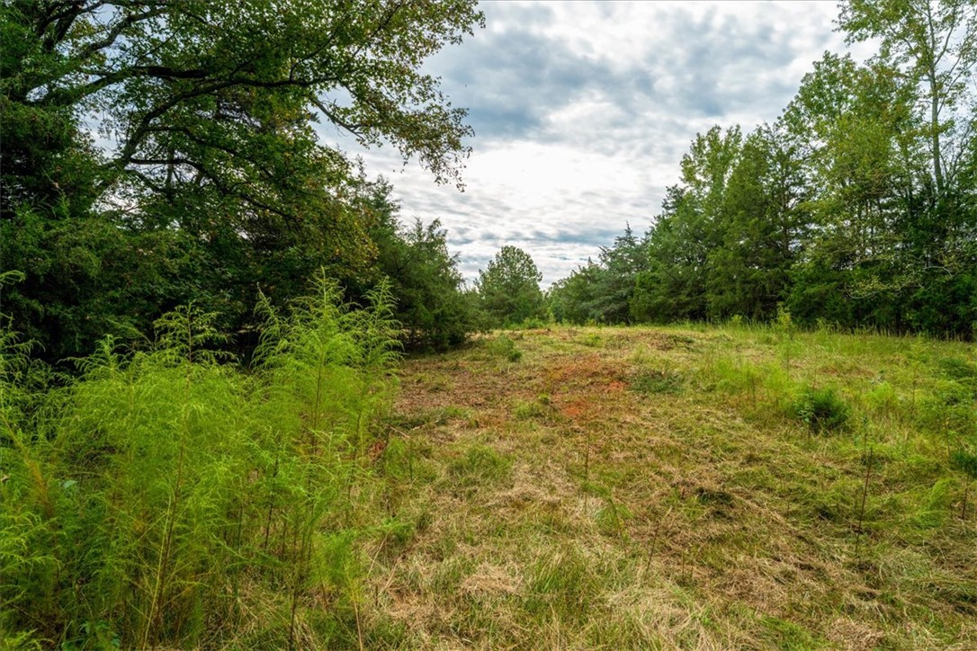 0 Highway 81 South Iva, SC 29655 - Photo 20 of 25