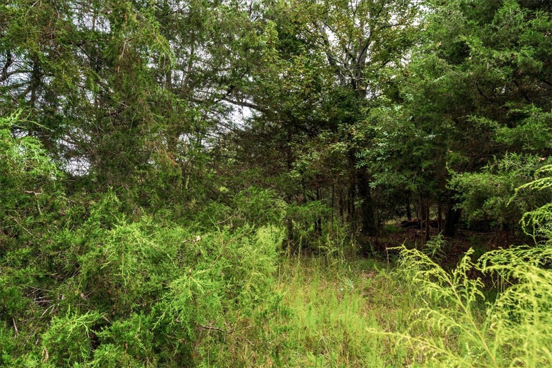 0 Highway 81 South Iva, SC 29655 - Photo 21 of 25