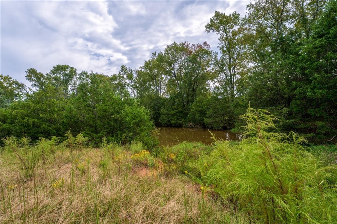 0 Highway 81 South Iva, SC 29655 - Photo 22 of 25 Pond