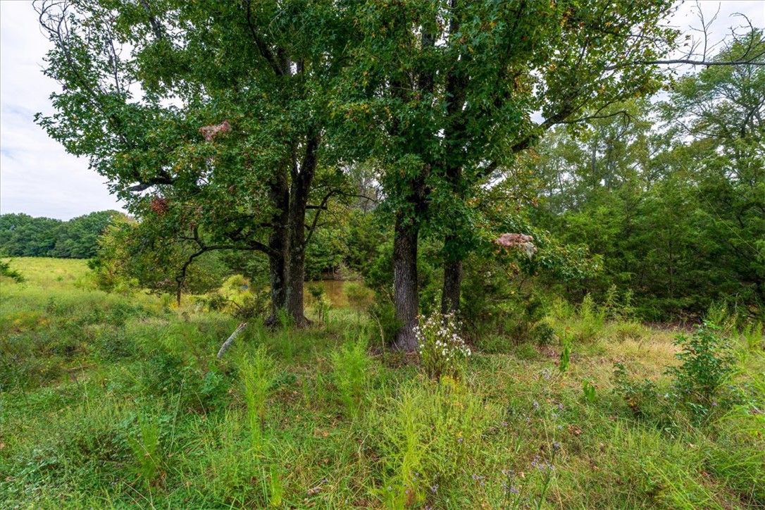 0 Highway 81 South Iva, SC 29655 - Photo 24 of 25