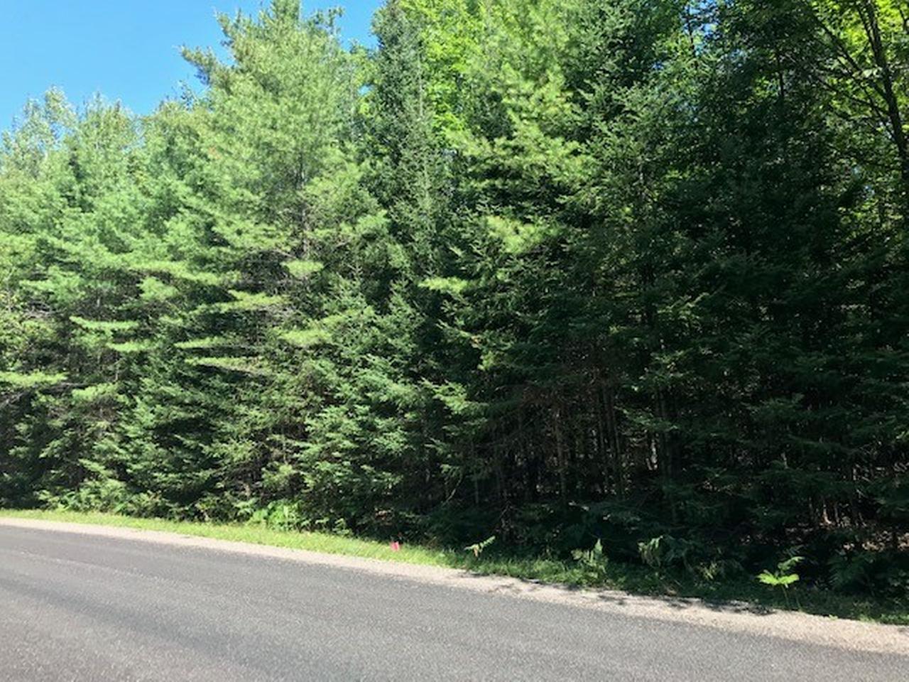 On Boygan Lake Road, Unit LOT 52 Land O'Lakes, WI 54540 - Photo 6 of 6 Gallery Image 6