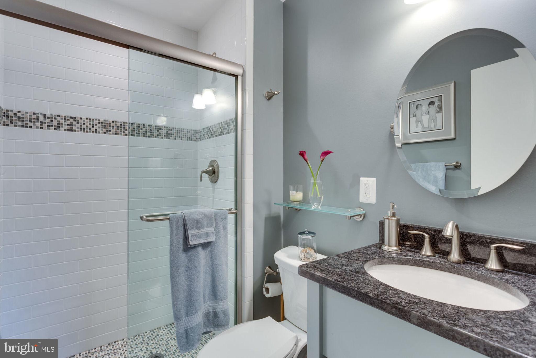 7102 Thrasher Road McLean, VA 22101 - Photo 19 of 23 Gorgeous hall bathroom