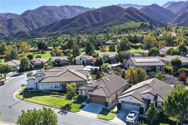a view of a park with large trees