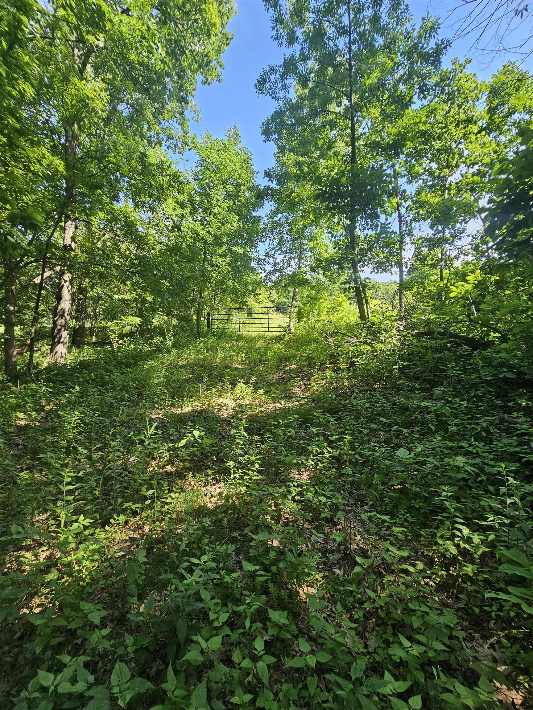 13061 Walnut Blf Road Bagley, WI 53801 - Photo 16 of 18