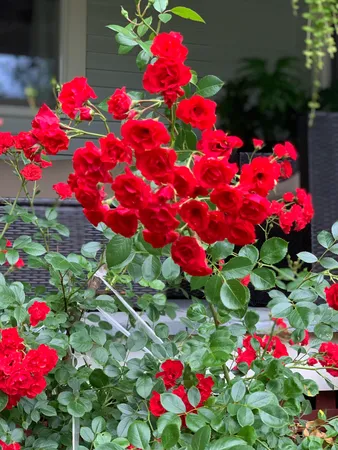 $599,000 | 274 Front Street, Richmond, ME 04357