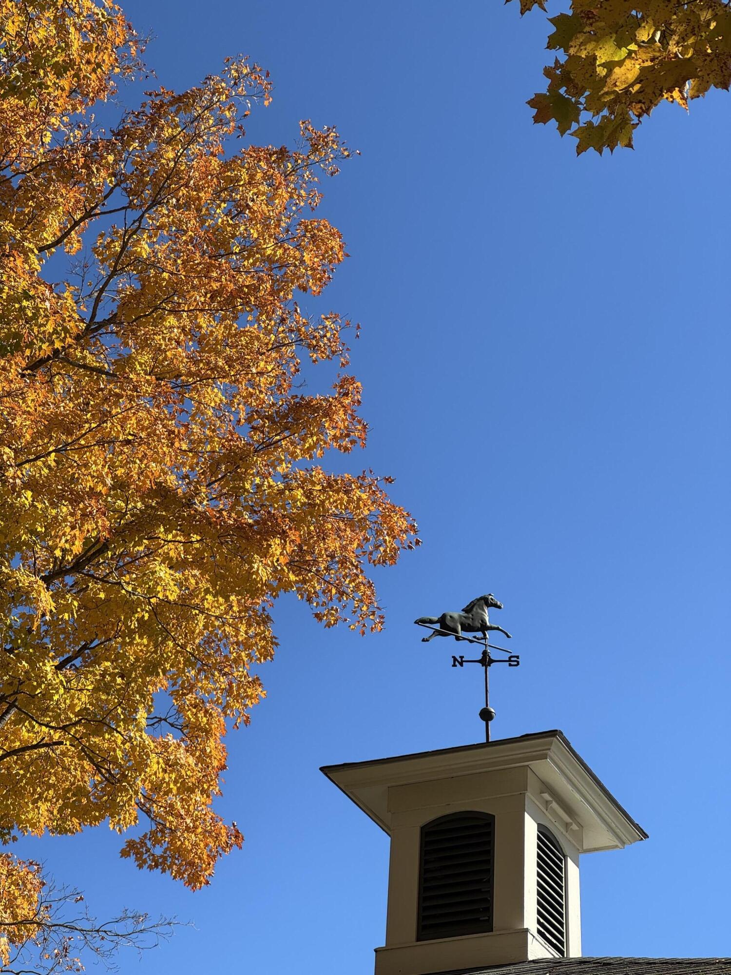 274 Front Street Richmond, ME 04357 - Photo 85 of 98 IMG_7397